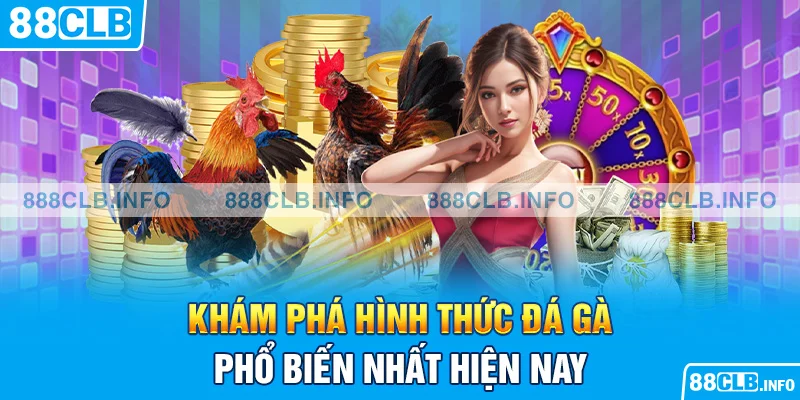Khám phá hình thức đá gà phổ biến nhất hiện nay