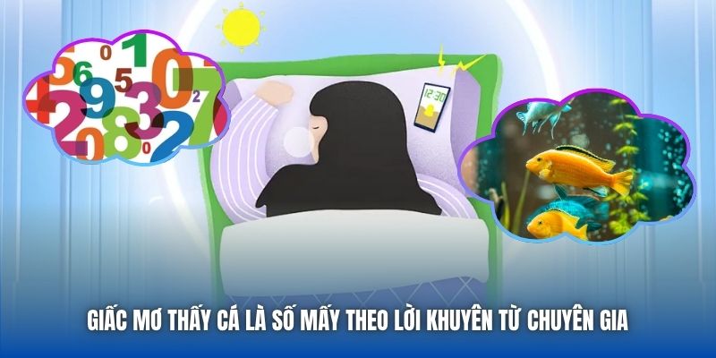 Giấc mơ thấy cá là số mấy theo lời khuyên từ chuyên gia 