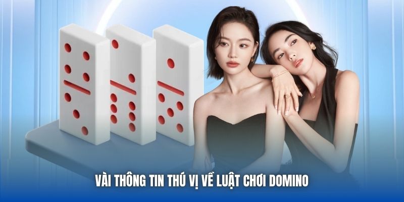 Vài thông tin thú vị về luật chơi Domino 