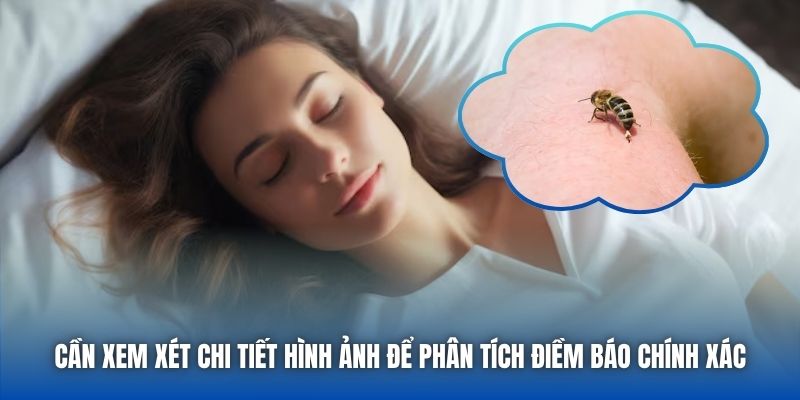 Cần xem xét chi tiết hình ảnh để phân tích điềm báo chính xác