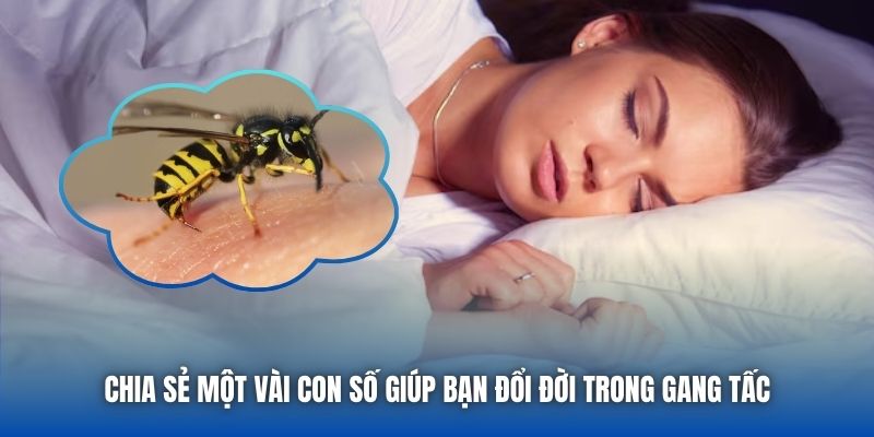 Chia sẻ một vài con số giúp bạn đổi đời khi mơ thấy ong đốt