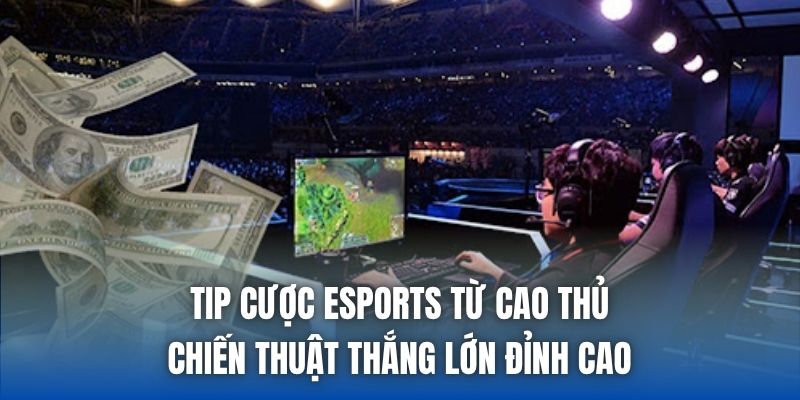 Tip Cược Esports Từ Cao Thủ - Chiến Thuật Thắng Lớn Đỉnh Cao