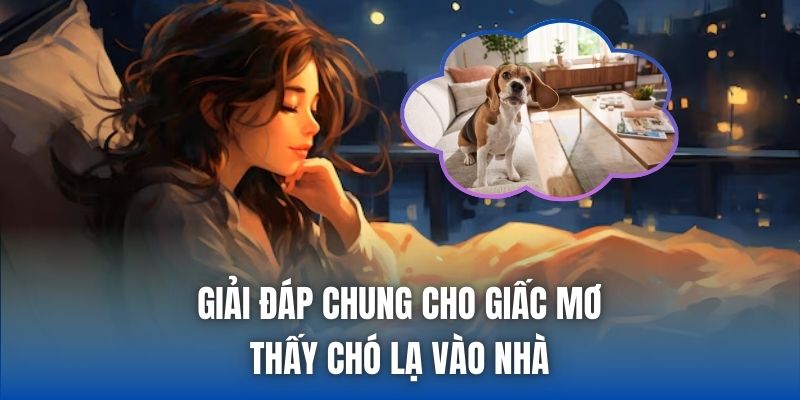 Giải đáp chung cho giấc mơ thấy chó lạ vào nhà